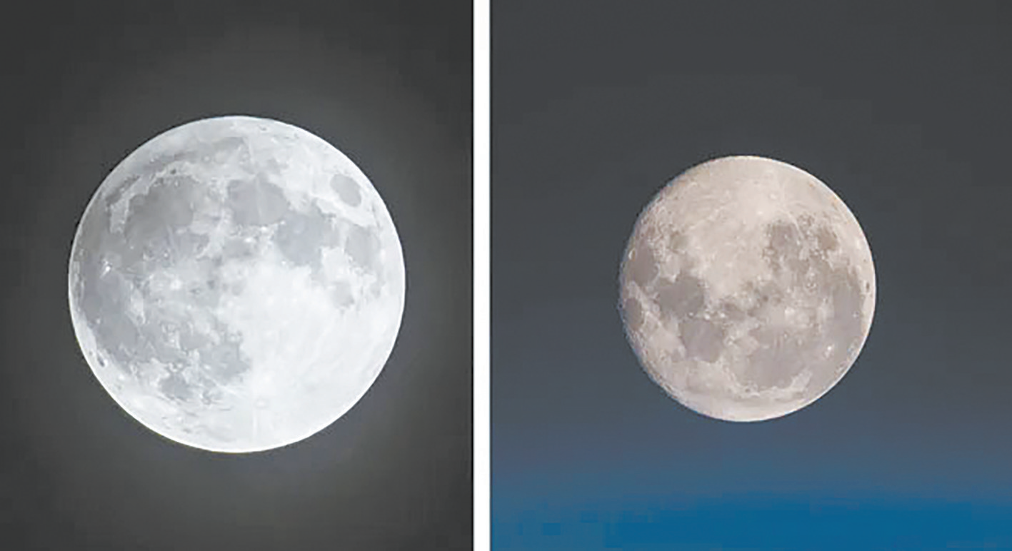 大只500注册|大只500官方app下载-樱花动漫-专注动漫的门户网站实时更新[下拉式]全本漫画