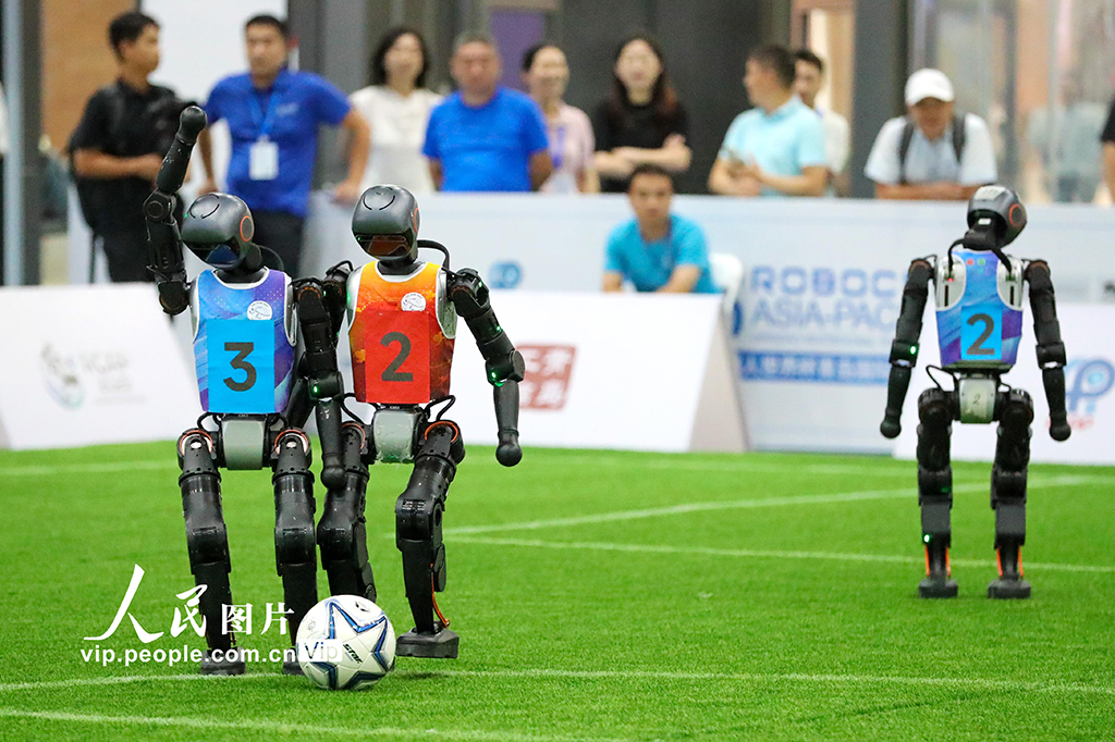 9月8日，2025亚太机器人世界杯青岛国际邀请赛在青岛西海岸新区举行。本次大赛以“智链世界 未来共融”为主题，吸引了来自中国、泰国、马来西亚、埃及、俄罗斯等12个国家及地区的84支代表队同台竞技。张进刚摄（人民图片网）