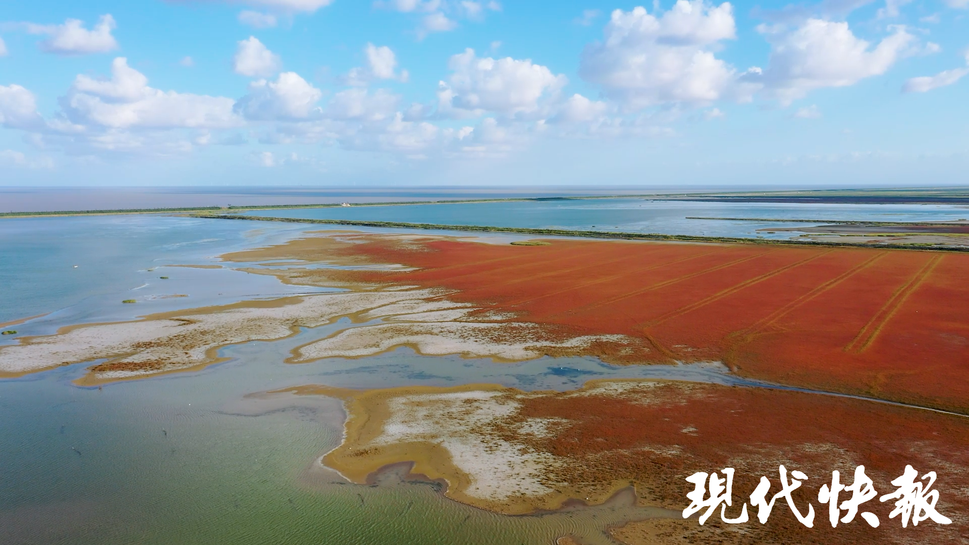 中国湿地图片