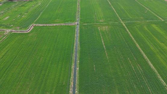 保供应、稳价格、优服务 四川梓潼供销全力“护航”春耕生产