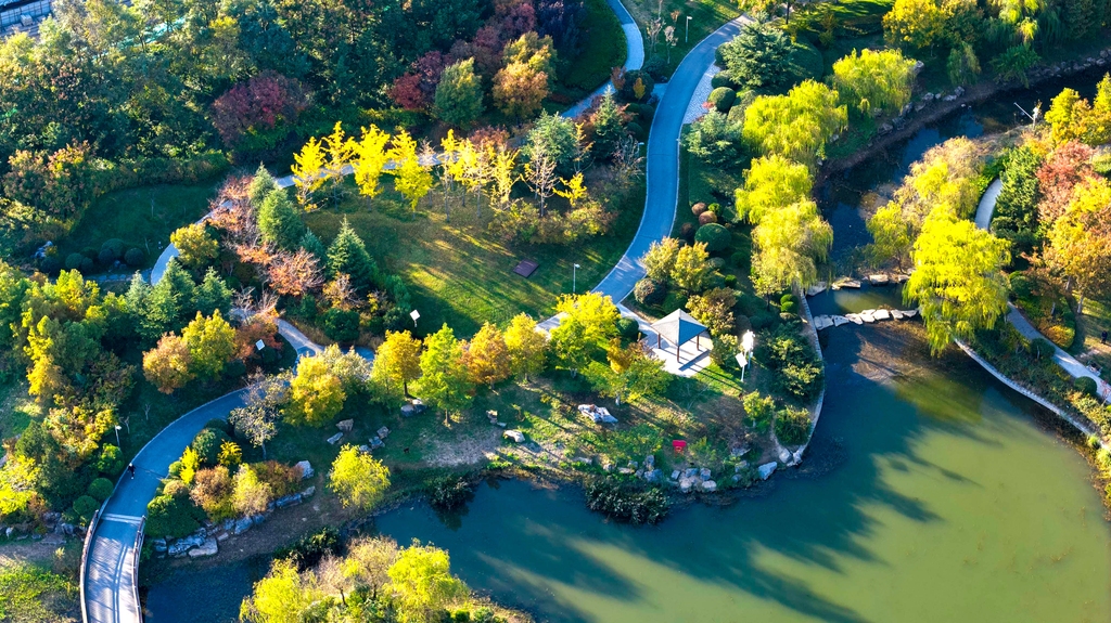 青岛：王河湿地碧水彩林如天然调色盘
