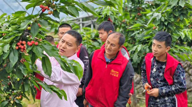 身残志坚不服输 四川宣汉“小龙哥”与44个残障兄妹的致富路