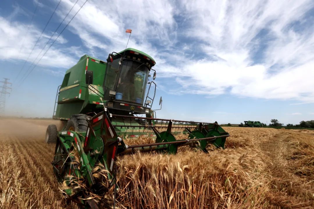 农业农村部：全国冬小麦收获进度过半