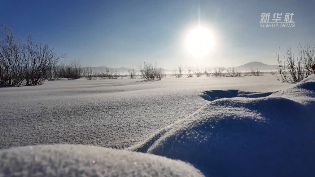 超越國際同類實驗十到二十年數據積累江門中微子實驗圓滿完成工程建設任務蒙鐵爾獲本年度普斯卡什獎