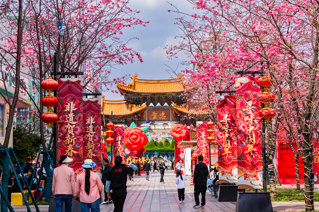 云南昆明南屏街樱花盛开