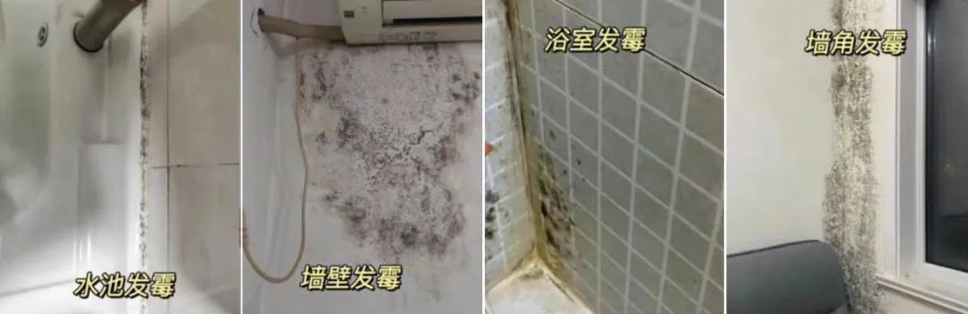 家里一旦出现这种小黑点，身体多个部位可能要遭殃！快看看你家有没有插图1