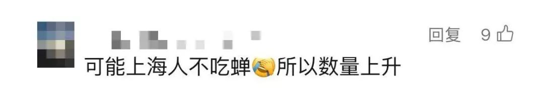 上海市民遭遇困扰：树上滴水，舔了才知道是尿！这物种今年明显增多？专家分析插图4