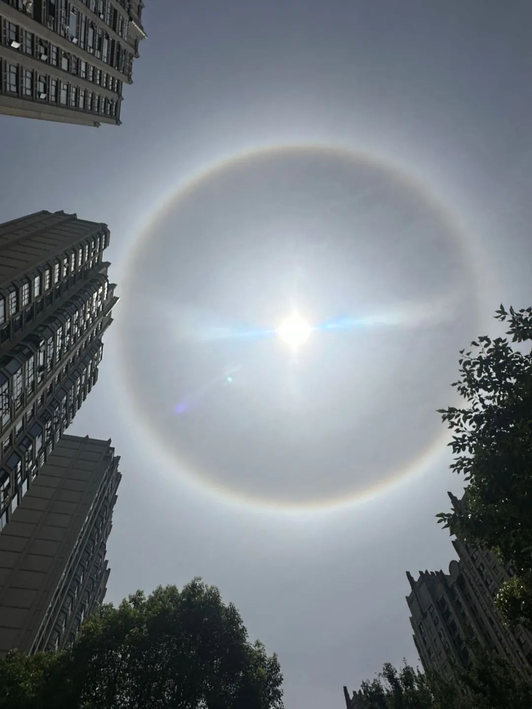 罕見！寧波上空驚現日暈幻日氣溫