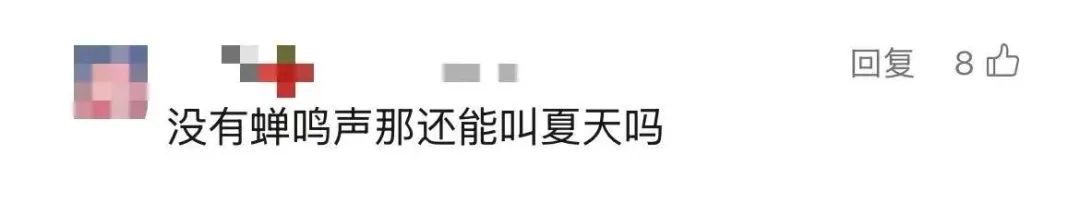上海市民遭遇困扰：树上滴水，舔了才知道是尿！这物种今年明显增多？专家分析插图7