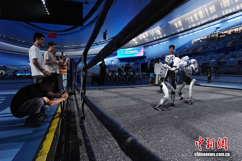 8月13日，在北京国家速滑馆，两台宇树科技机器人训练自由搏击项目。8月14日至17日，2025世界人形机器人运动会将在北京国家速滑馆（冰丝带）举行。来自全球五大洲16个国家的280支队伍、500余台人形机器人将展开26个赛项、538个比赛项目的竞技对决。中新社记者 张祥毅 摄