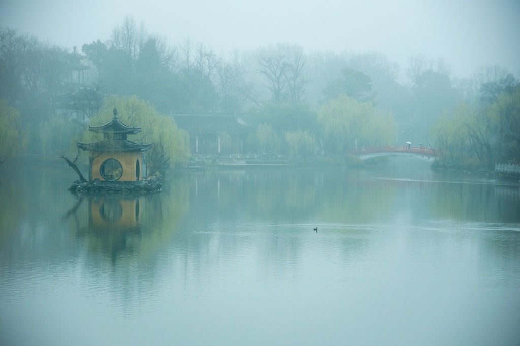 扬州瘦西湖人间春雨足万物生光辉