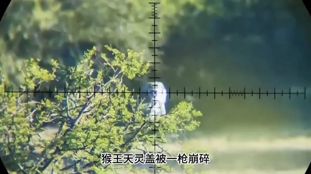 “峨眉山人猴大战”视频造谣节点达11个！警方跨地追踪：多人被处罚插图1