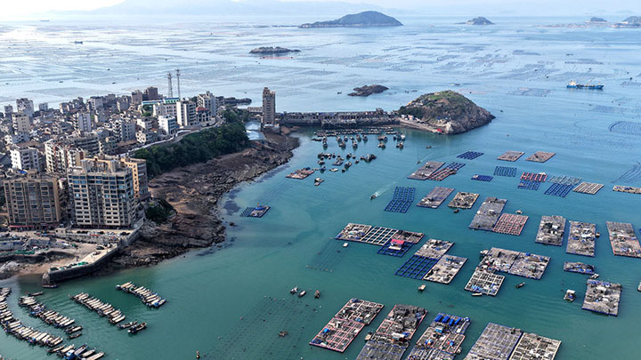 福建连江：海上鲍鱼养殖场