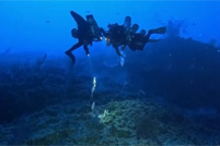 史上最严重 澳大利亚大堡礁遭遇大规模白化事件