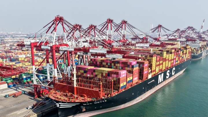 新春走基层丨山东港口青岛港：春节会战“马力全开”