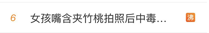 街头夹竹桃开得正美！千万别碰，有毒插图3