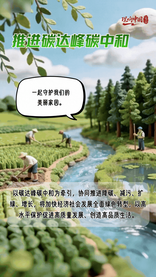 理响中国·一笔一画｜法治护绿！“典”亮美丽中国