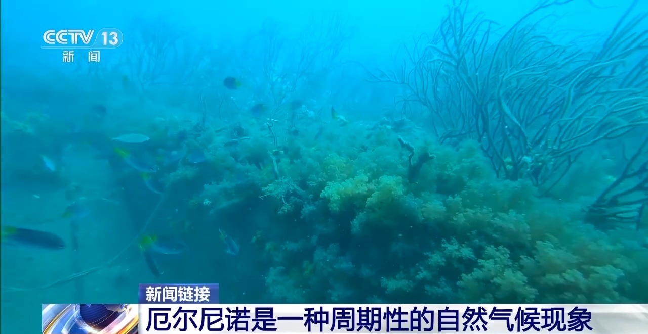 天富注册地址_天富app下载_防火卷帘门_特级防火卷帘门_挡烟垂壁_防火门报价-河北宏安门业有限公司河间分公司