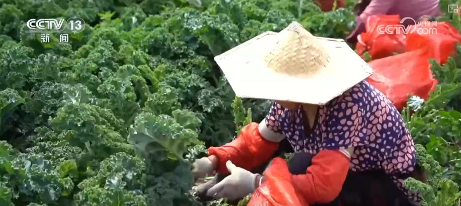 連城小說網手機版下載_獵人小說網免費閱讀_全本小說免費無彈窗在線閱讀