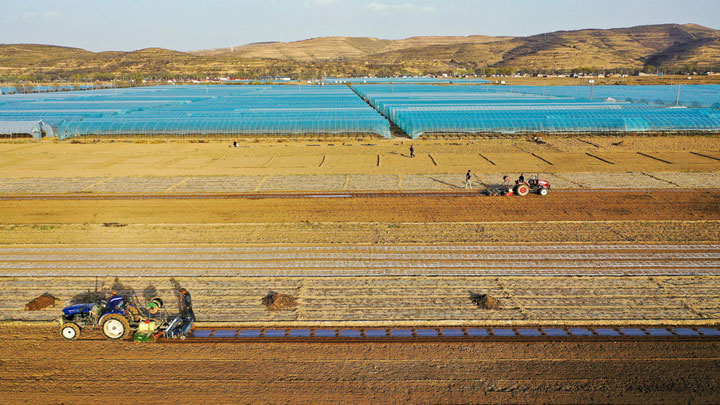 宁夏西吉：旋耕覆膜忙春种