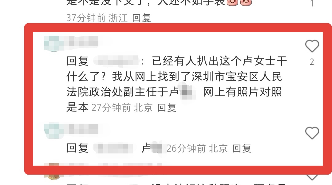游客丢儿童手表致环卫工人在8吨垃圾中翻找4小时，深圳宝安区人民法院辟谣：当事人非法院工作人员插图