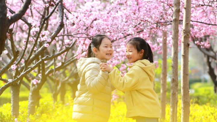 诗意中国丨况是清明好天气 不妨游衍莫忘归