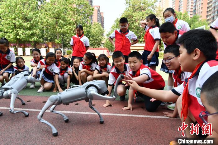 5月27日，河北省石家庄市育才小学，学生与机器狗互动。中新社记者 翟羽佳 摄