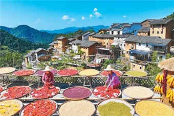 丰收中国铺展美丽画卷