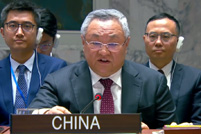 中国代表敦促恢复中东和海湾地区稳定