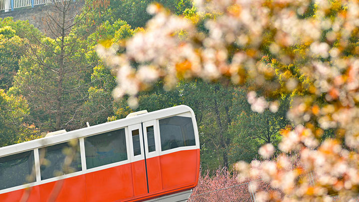 重庆：开往春天的列车
