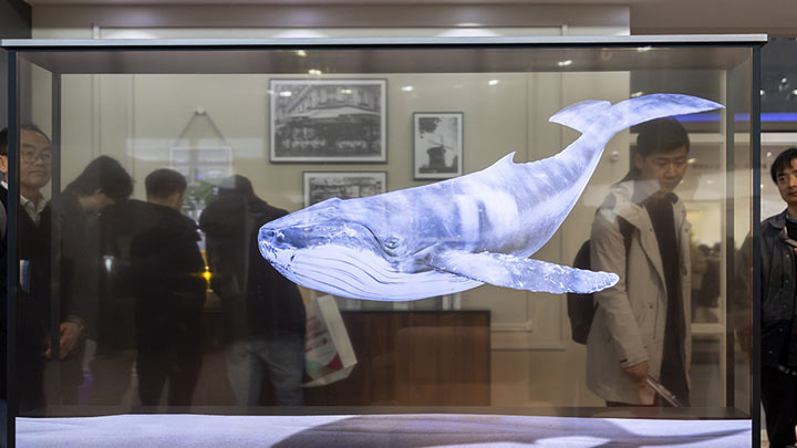 上海：2026中国家电及消费电子博览会开幕