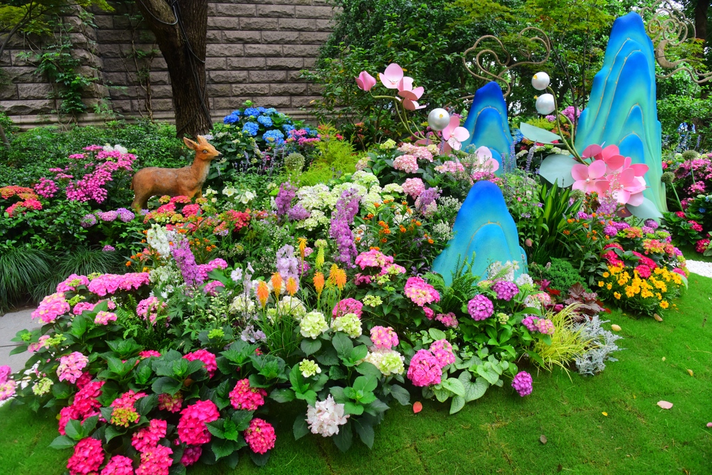 杭州首届八仙花展亮相吴山