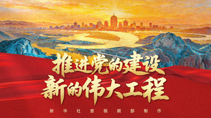 推进党的建设新的伟大工程
